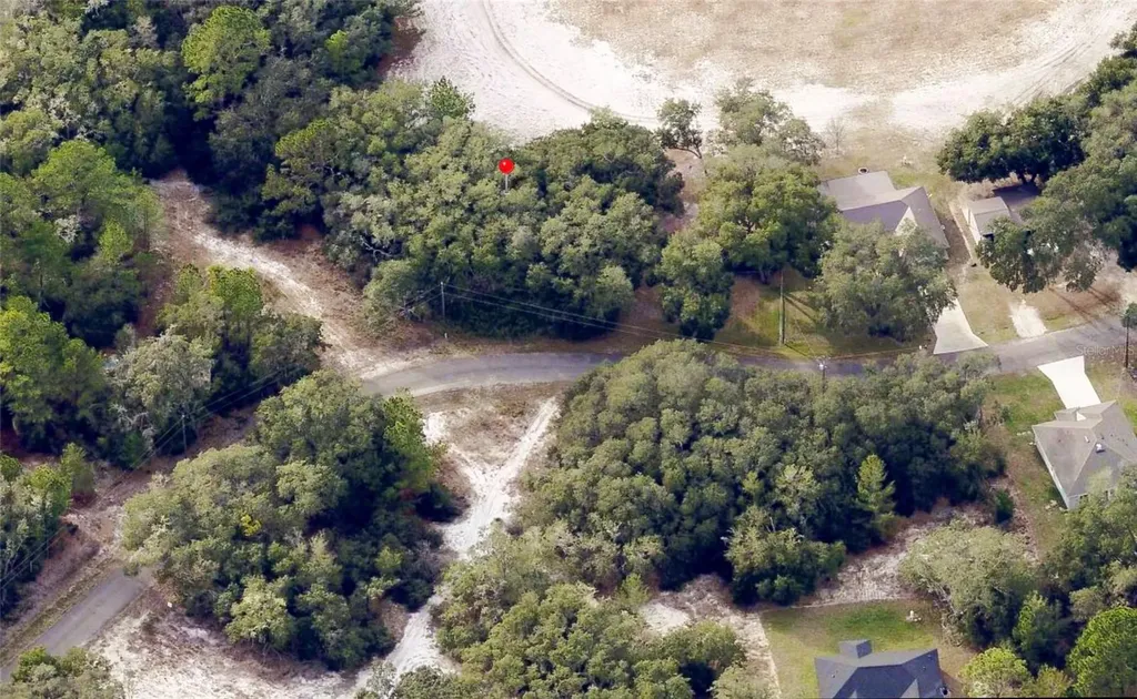 175 Fisher Ln Court Ocklawaha FL 32179