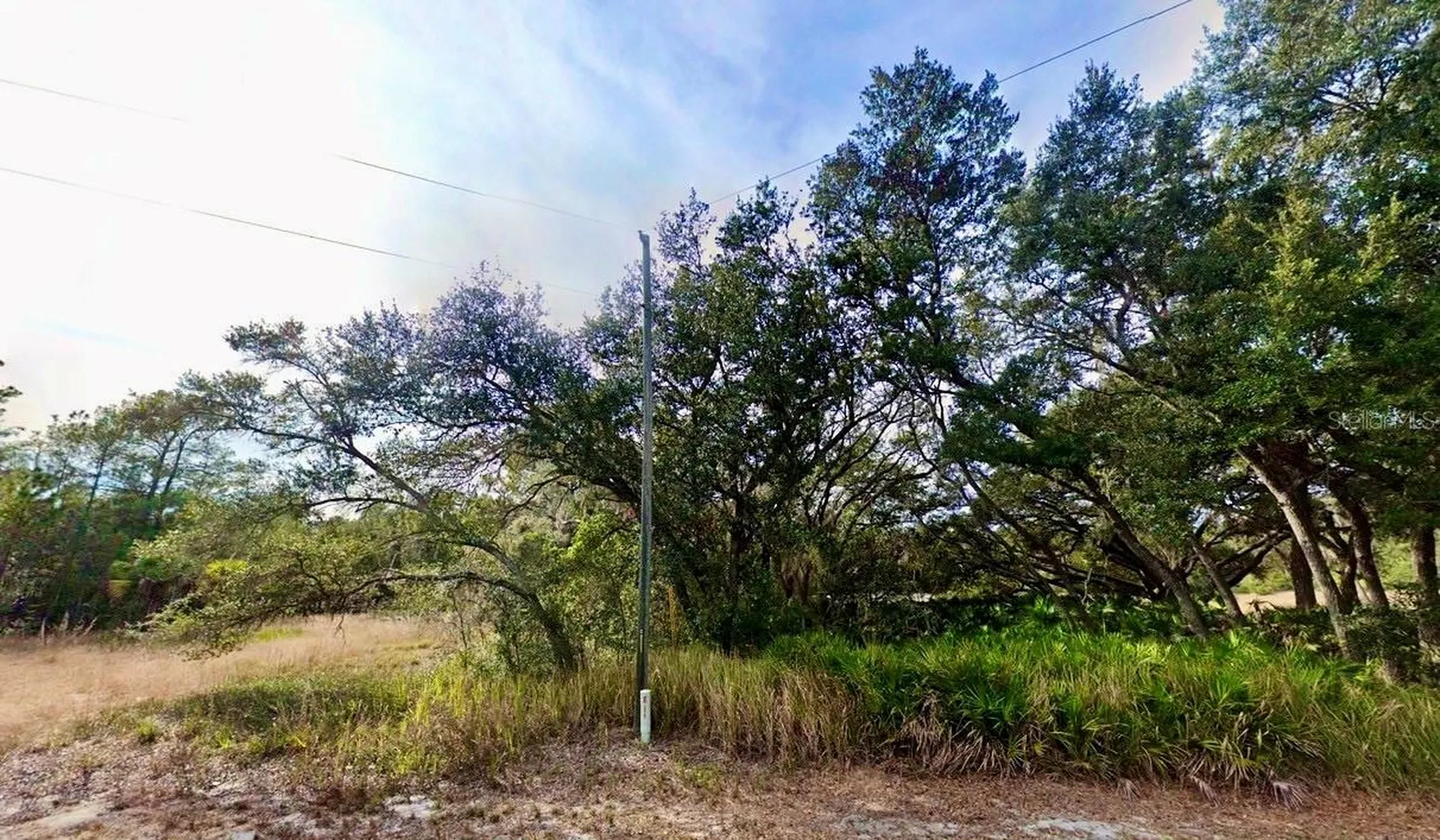 175 Fisher Ln Court Ocklawaha FL 32179