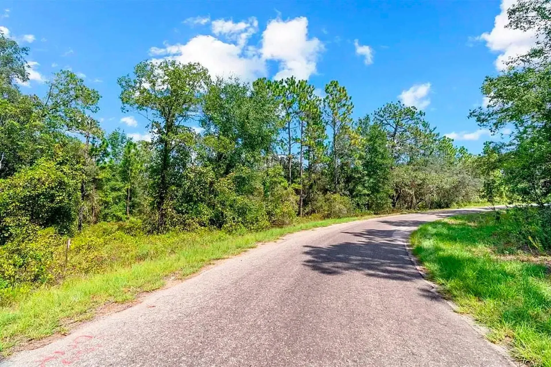 175 Fisher Ln Court Ocklawaha FL 32179