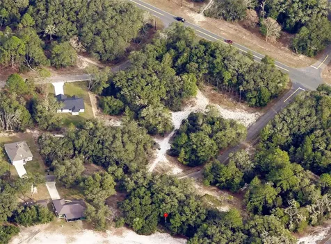 175 Fisher Ln Court Ocklawaha FL 32179