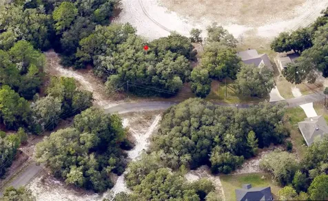175 Fisher Ln Court Ocklawaha FL 32179