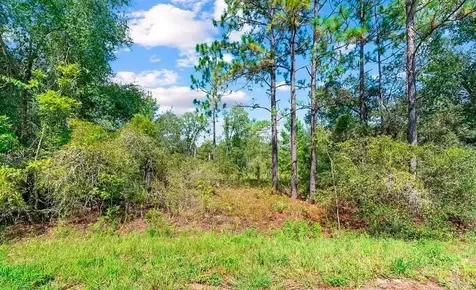 175 Fisher Ln Court Ocklawaha FL 32179