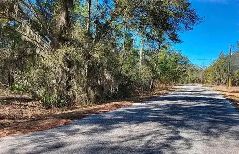175 Fisher Ln Court Ocklawaha FL 32179
