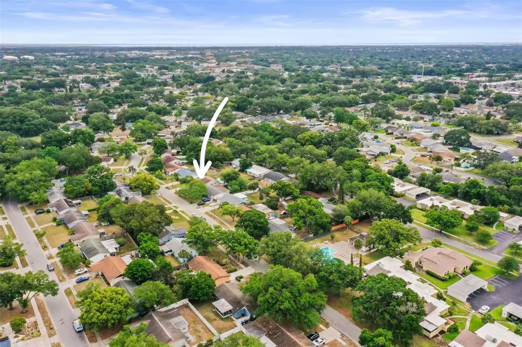 1613 Greenwood Drive Dunedin FL 34698