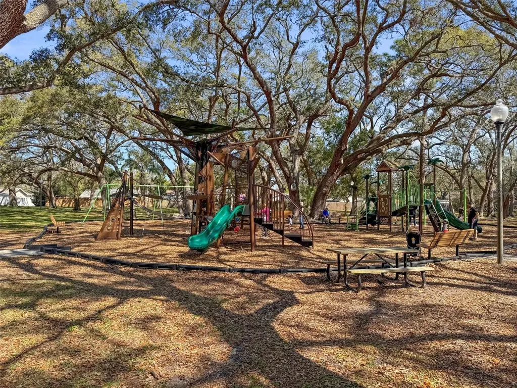 1613 Greenwood Drive Dunedin FL 34698
