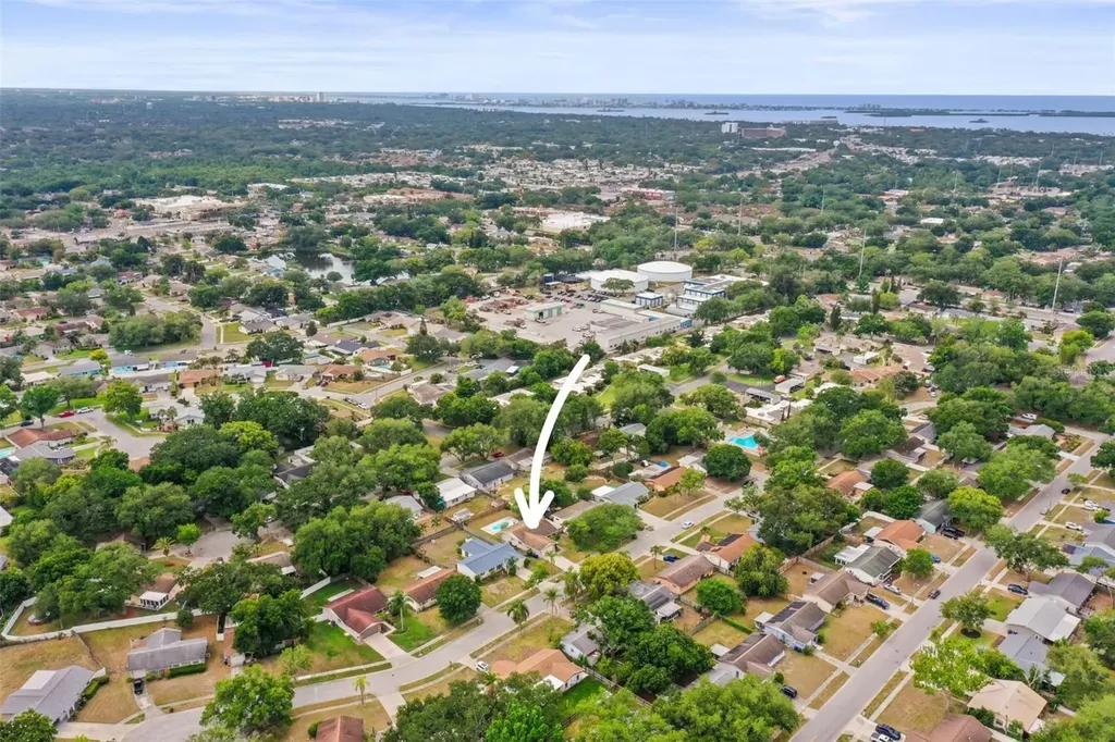 1613 Greenwood Drive Dunedin FL 34698
