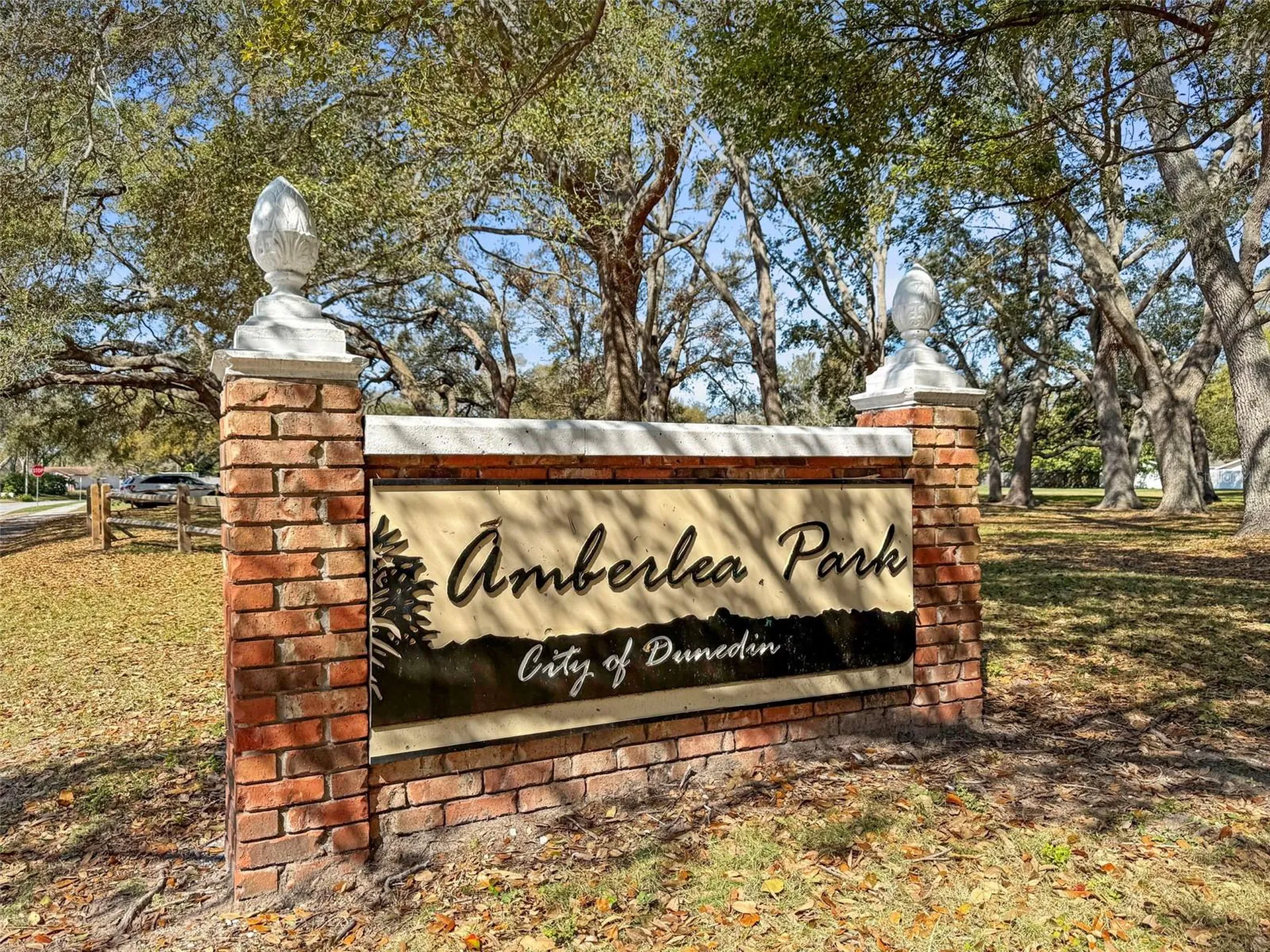 1613 Greenwood Drive Dunedin FL 34698