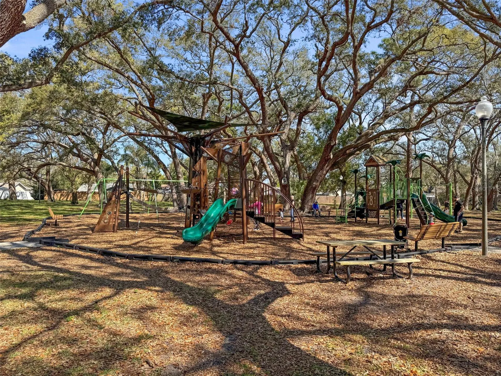 1613 Greenwood Drive Dunedin FL 34698