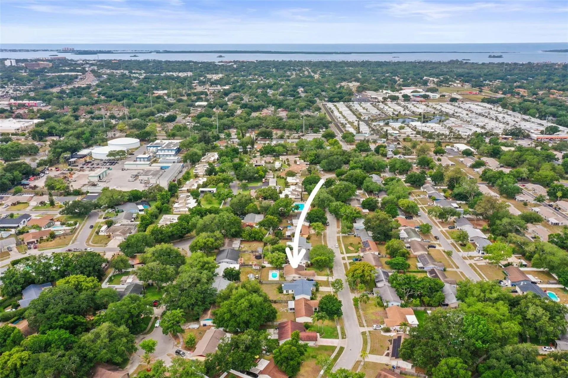 1613 Greenwood Drive Dunedin FL 34698