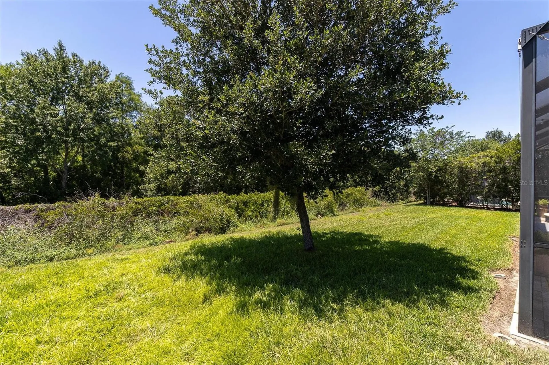 12834 Burns Drive Odessa FL 33556