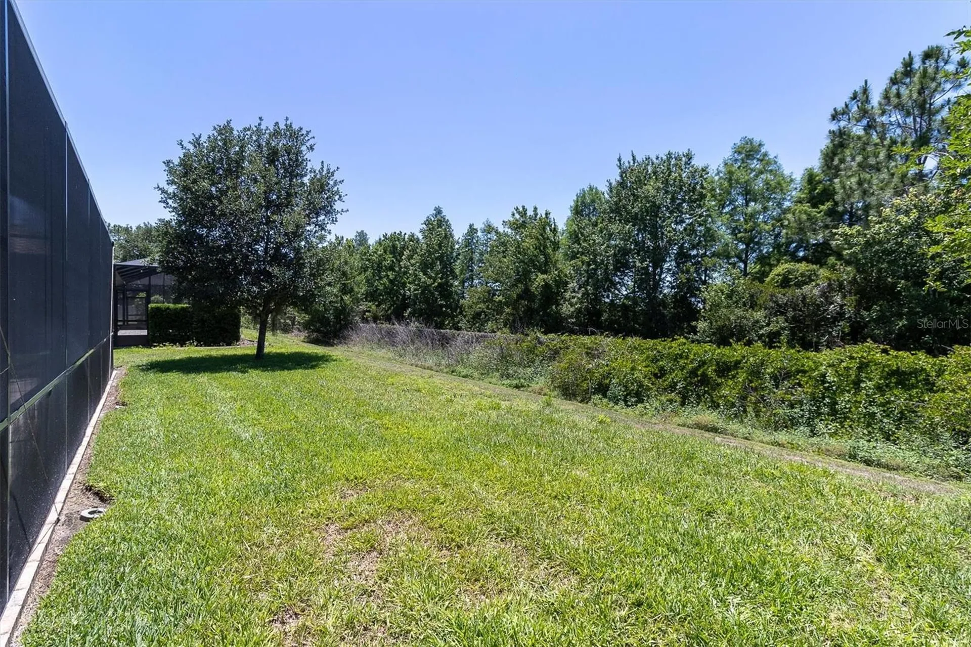 12834 Burns Drive Odessa FL 33556
