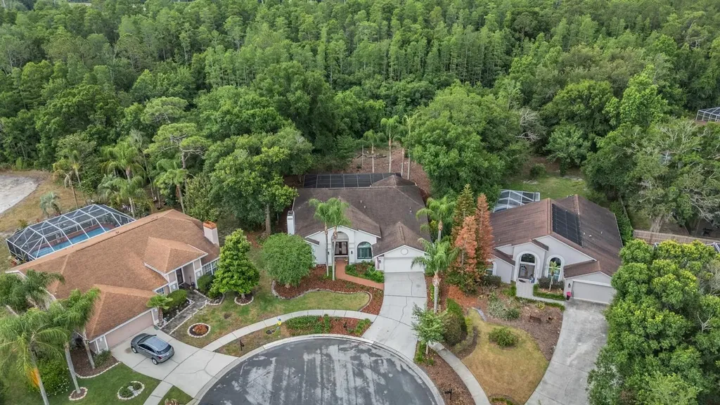 9507 Larkbunting Drive Tampa FL 33647