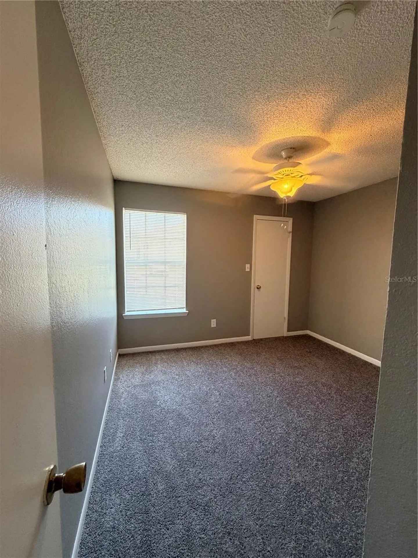 4367 Thornbriar Lane Orlando FL 32822