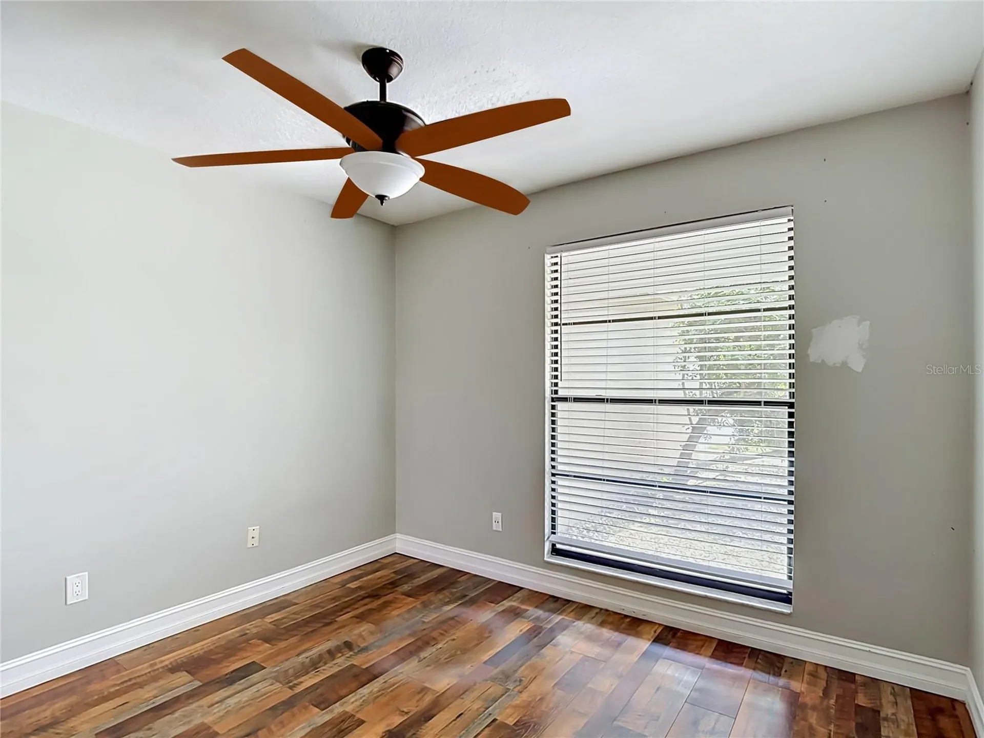 16206 Fantasia Drive Tampa FL 33624