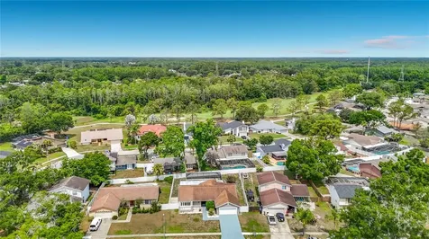 16206 Fantasia Drive Tampa FL 33624