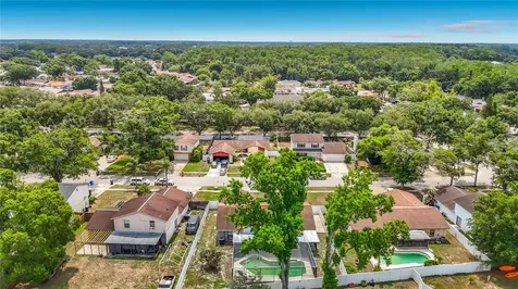 16206 Fantasia Drive Tampa FL 33624