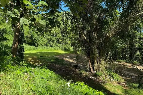 Las Lomas Canovanas PR 00729