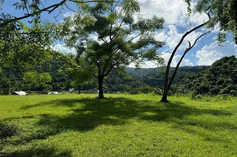 Las Lomas Canovanas PR 00729