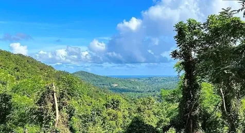 Las Lomas Canovanas PR 00729