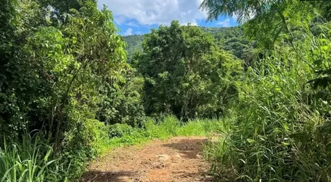 Las Lomas Canovanas PR 00729