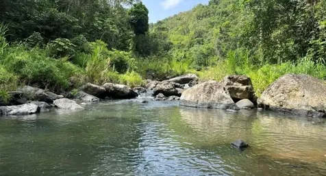 Las Lomas Canovanas PR 00729