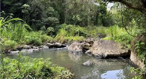 Las Lomas Canovanas PR 00729