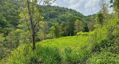Las Lomas Canovanas PR 00729