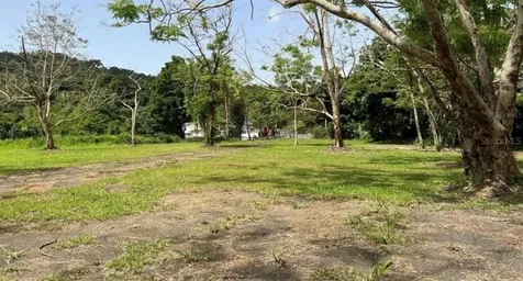 Las Lomas Canovanas PR 00729