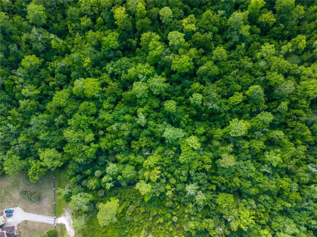 Choctaw Trail Kissimmee FL 34747