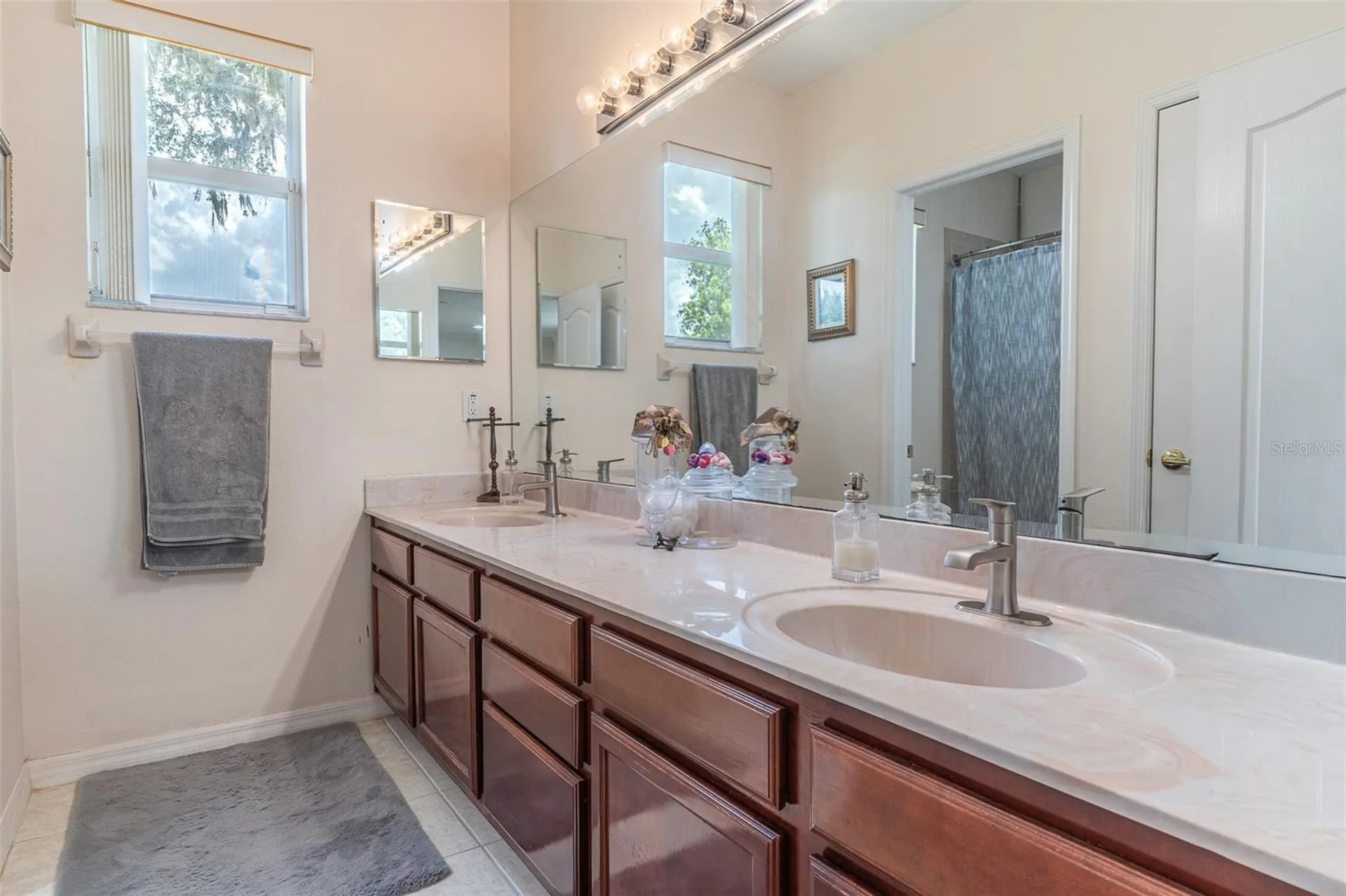 915 Hickory Fork Drive Seffner FL 33584