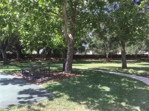 12534 Evington Point Drive Riverview FL 33579