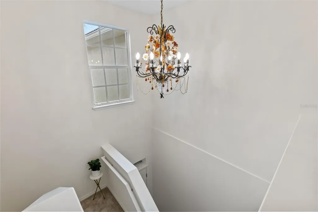 1372 Riserva Lane Palm Harbor FL 34683