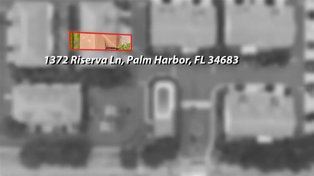 1372 Riserva Lane Palm Harbor FL 34683