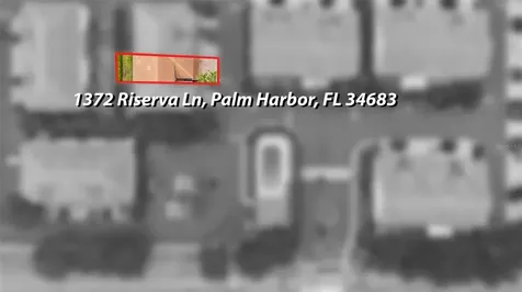 1372 Riserva Lane Palm Harbor FL 34683