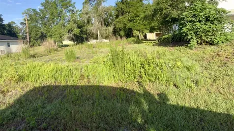 7TH Avenue Deland FL 32724