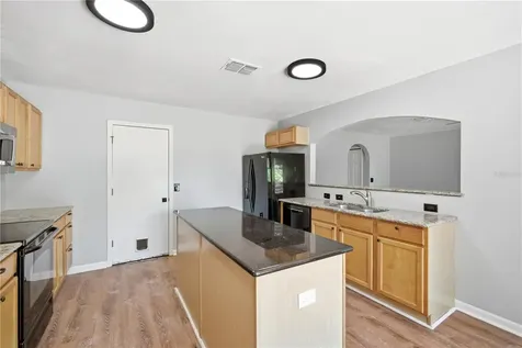 11535 Ivy Flower Loop Riverview FL 33578
