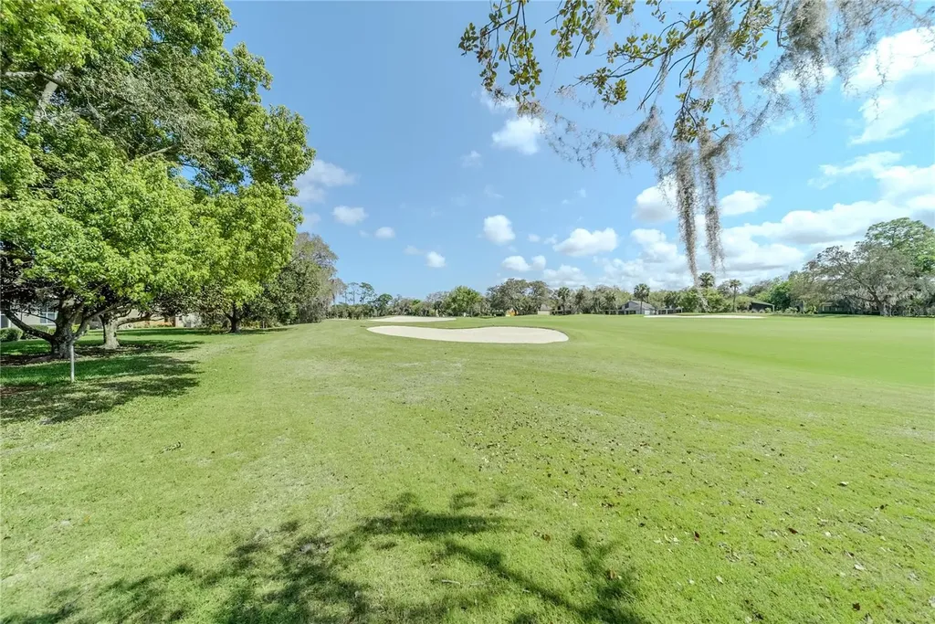 550 Bottlebrush Court New Smyrna Beach FL 32168