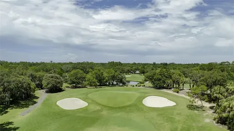 550 Bottlebrush Court New Smyrna Beach FL 32168