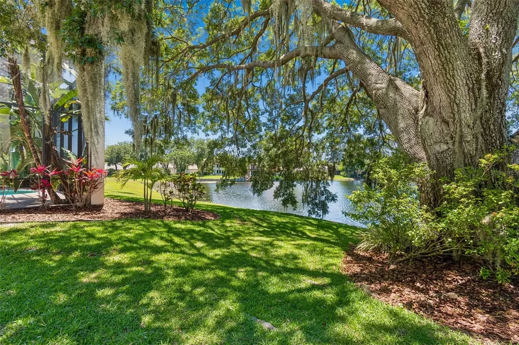 816 Taray De Avila Tampa FL 33613