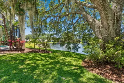 816 Taray De Avila Tampa FL 33613