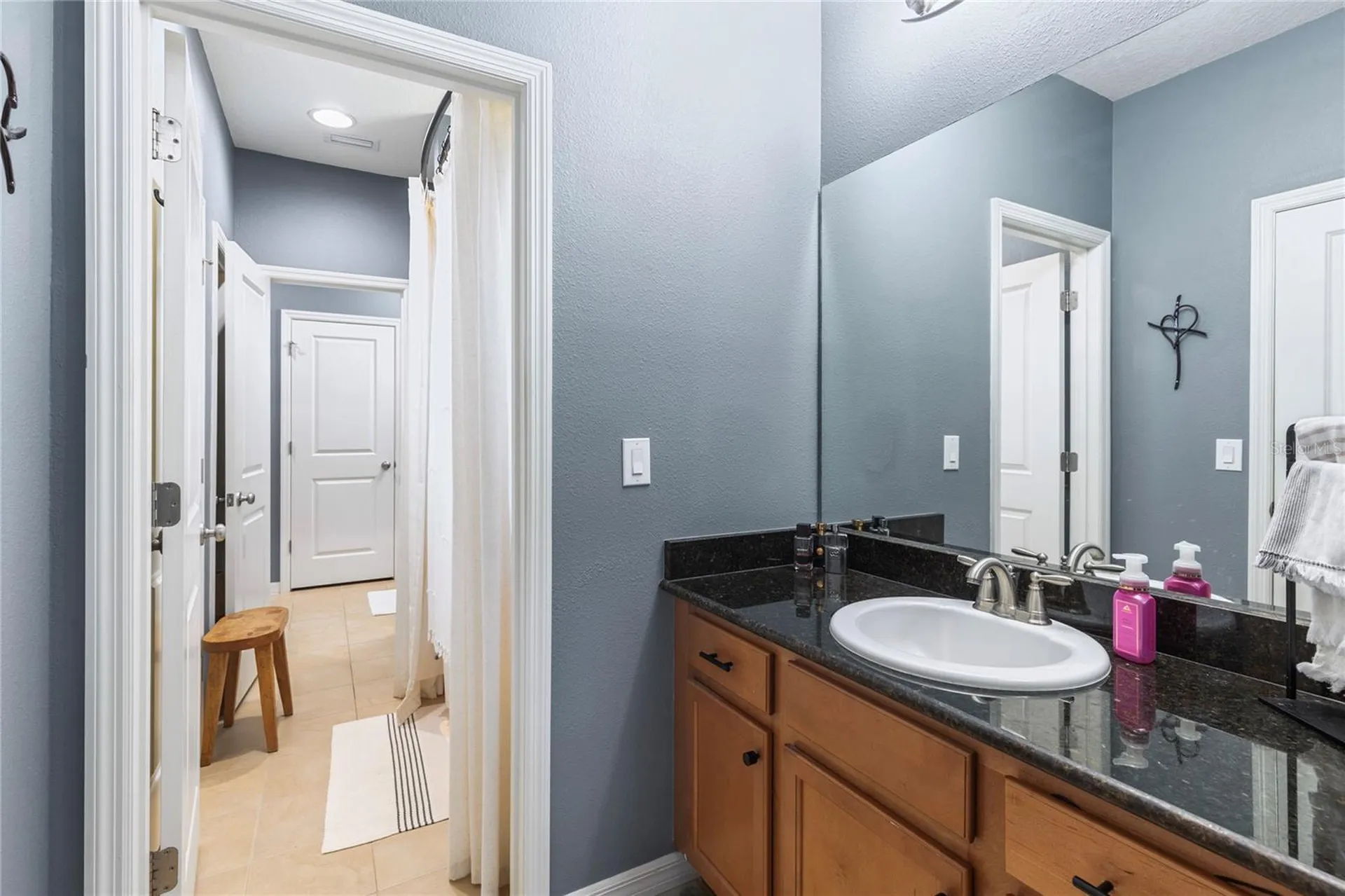 8791 Bella Vita Circle Land O Lakes FL 34637