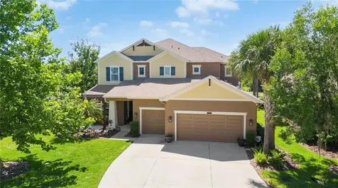 8791 Bella Vita Circle Land O Lakes FL 34637