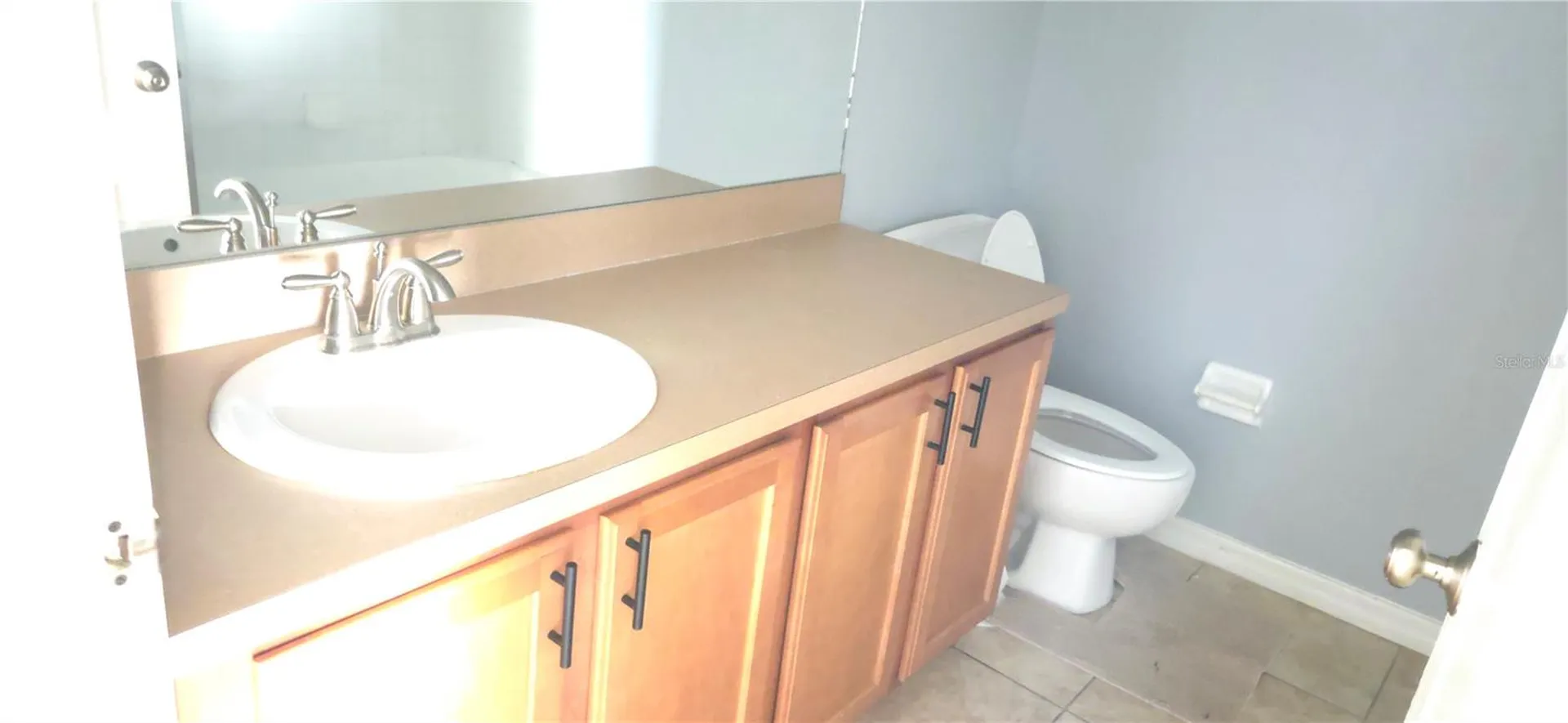 1115 Fennel Green Drive Seffner FL 33584
