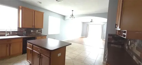 1115 Fennel Green Drive Seffner FL 33584