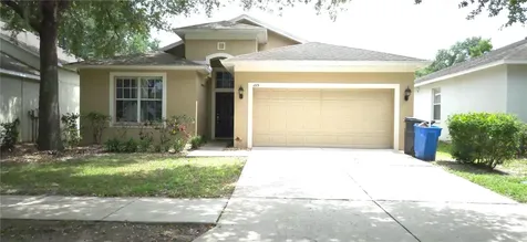 1115 Fennel Green Drive Seffner FL 33584