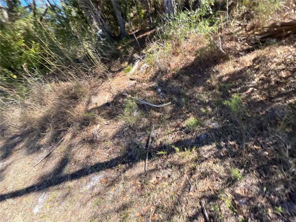 Taplin Avenue North Port FL 34291
