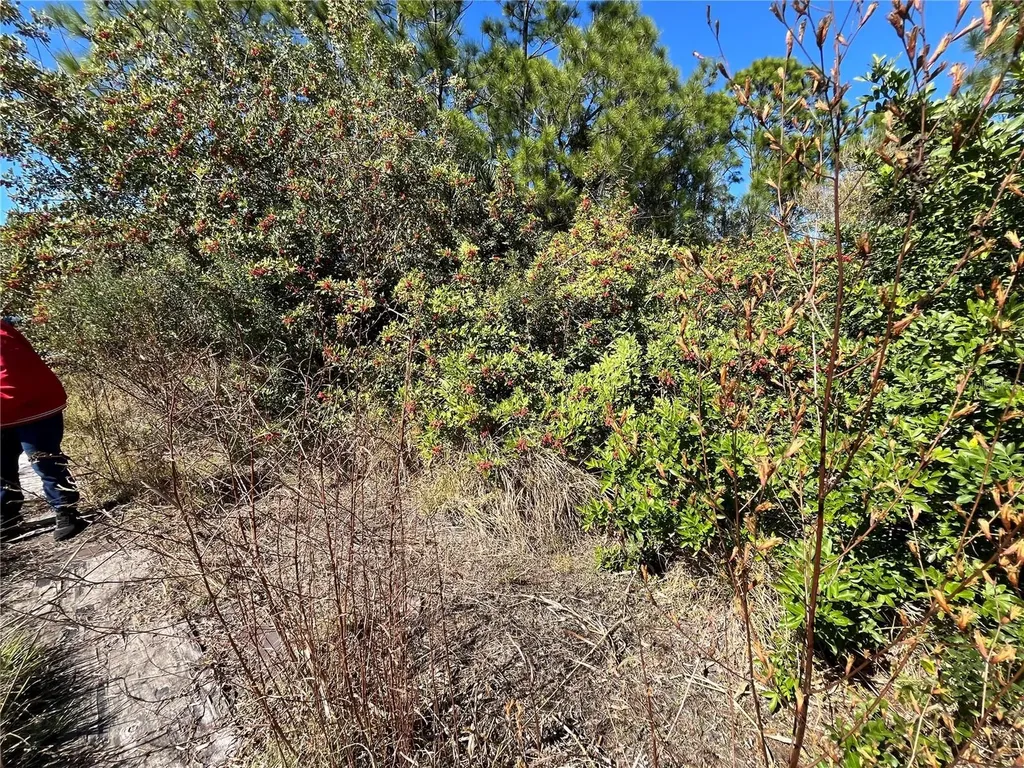 Taplin Avenue North Port FL 34291
