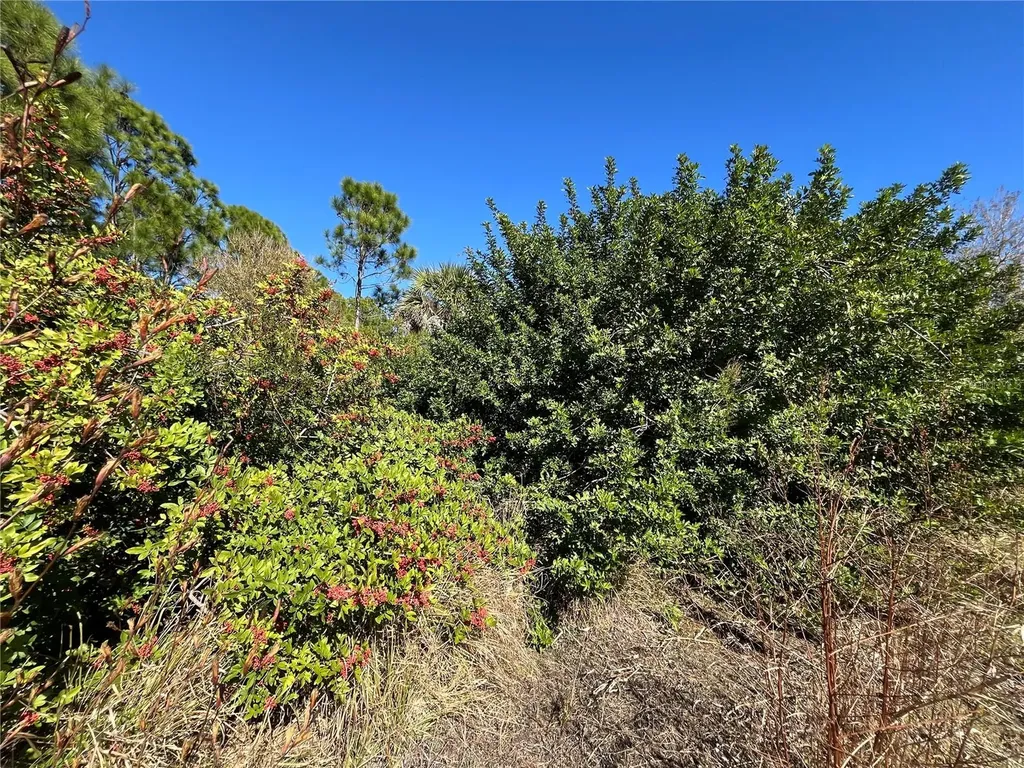 Taplin Avenue North Port FL 34291