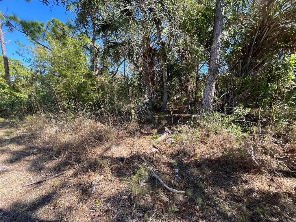 Taplin Avenue North Port FL 34291