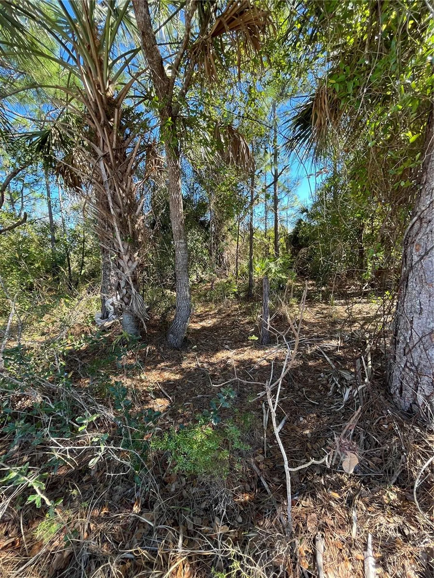 Taplin Avenue North Port FL 34291